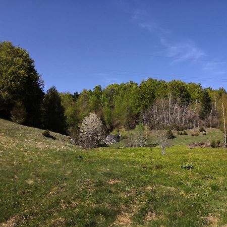 Sky Cabin Apartments Κοπαόνικ Εξωτερικό φωτογραφία