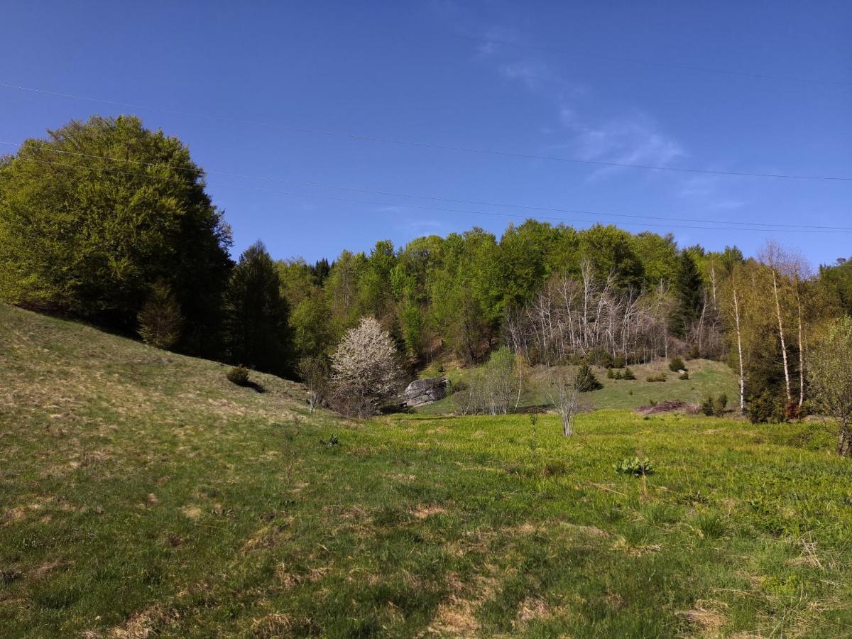 Sky Cabin Apartments Κοπαόνικ Εξωτερικό φωτογραφία