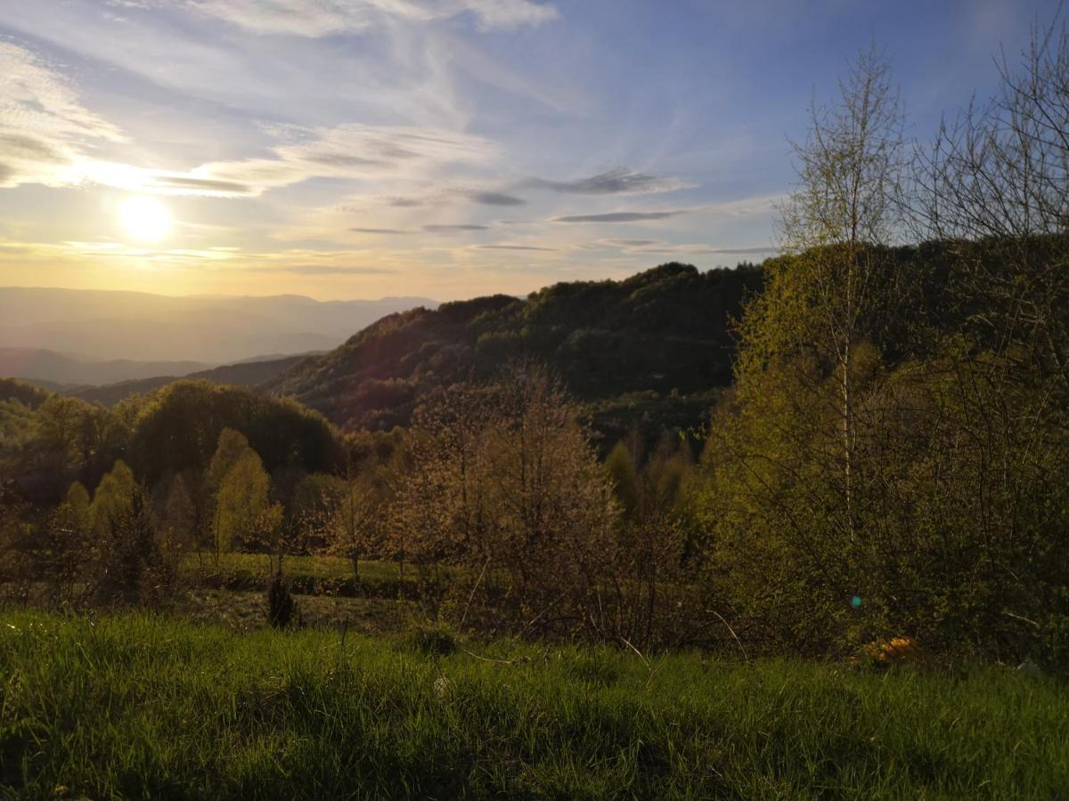 Sky Cabin Apartments Κοπαόνικ Εξωτερικό φωτογραφία