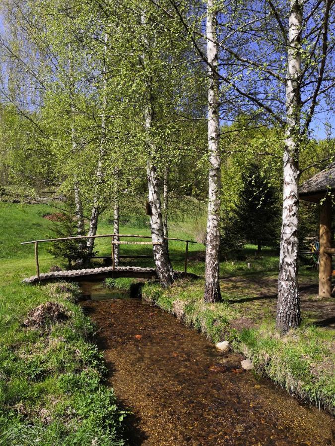 Sky Cabin Apartments Κοπαόνικ Εξωτερικό φωτογραφία